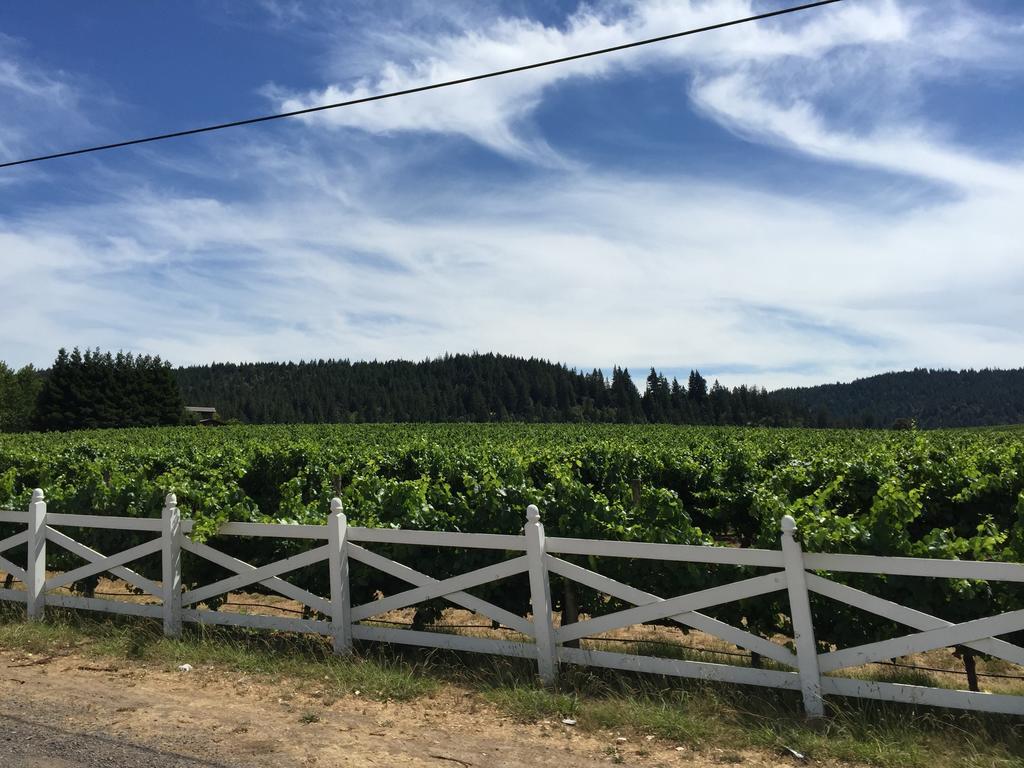 Mendocino Inn & Spa Little River エクステリア 写真