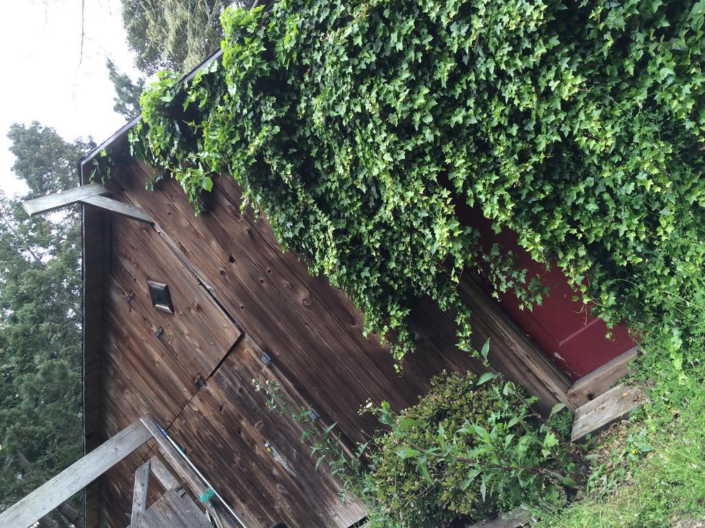 Mendocino Inn & Spa Little River エクステリア 写真